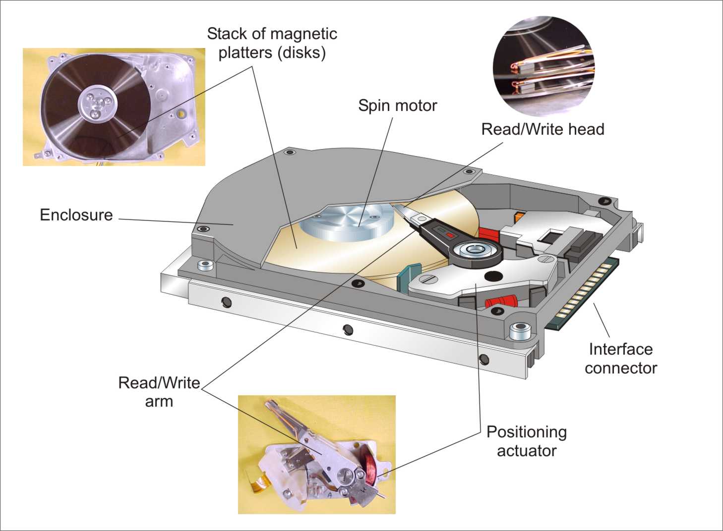 fig1