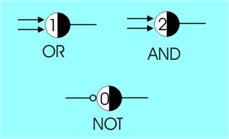 Neuron1