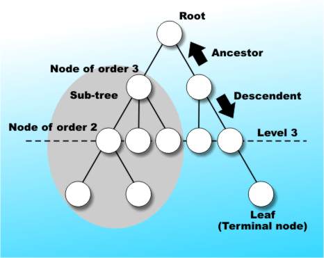 Tree1