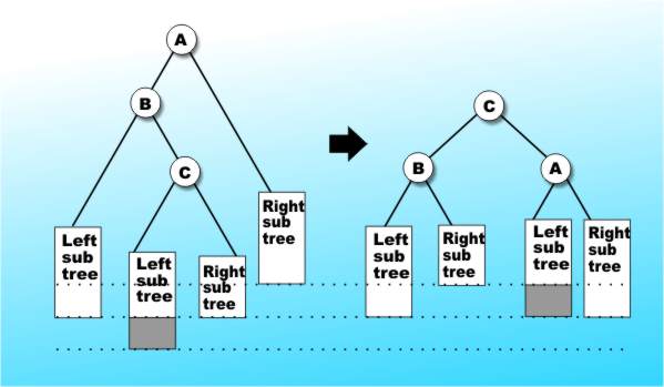 Tree6b