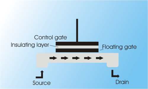 TwoGateFET