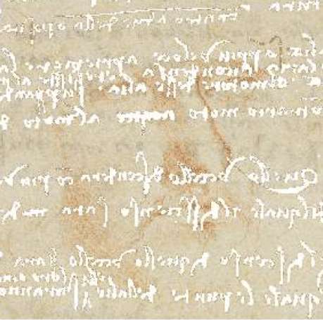 leonardo3