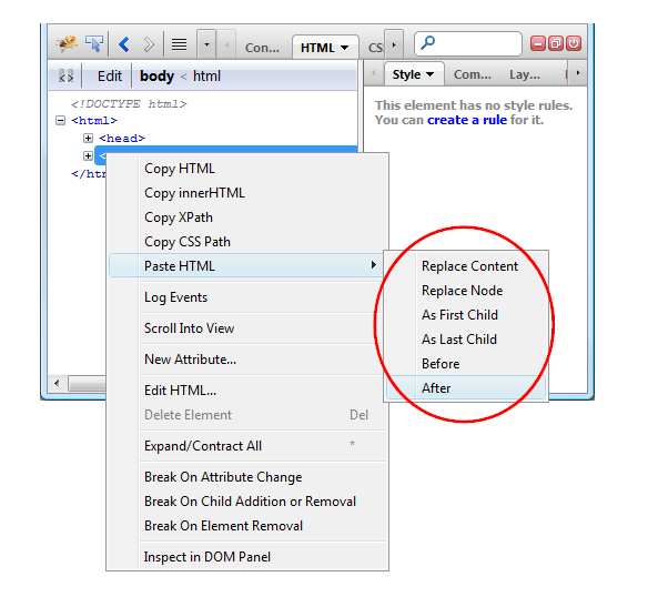 firebug11paste