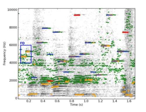 chirpspectrum