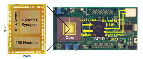 neuroncore