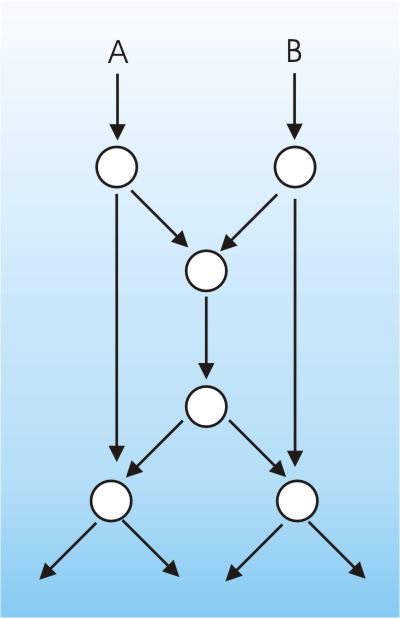 networkcode1