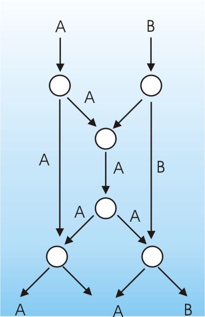 networkcode2