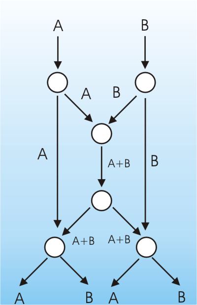 networkcode3