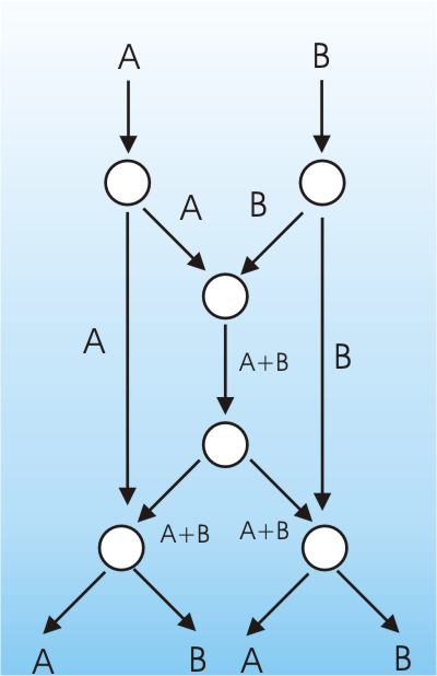 networkcode3