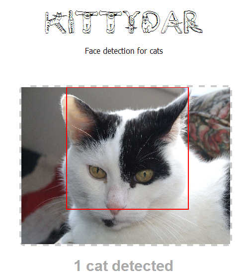 kittydar1