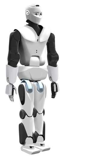 Full size humanoid store robot