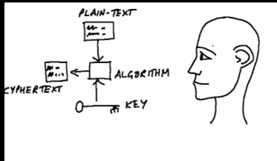 cryptocartoon2