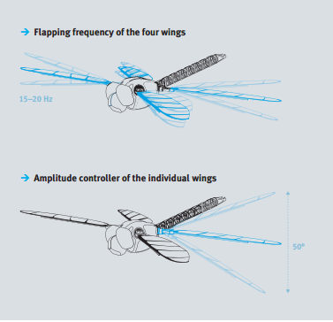 dragonflywing1