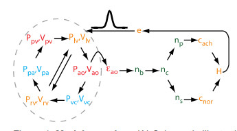 bpmodelgraph