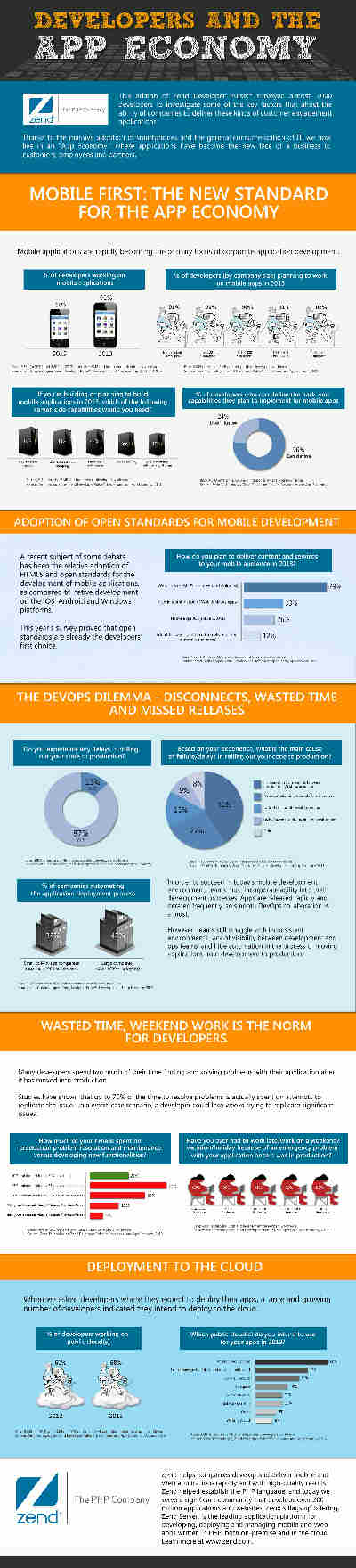 Zendinfographsmall