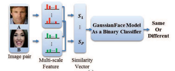 gfacedatasystem