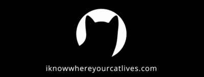 iknowwherecatbanner