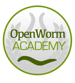 openworkacademy