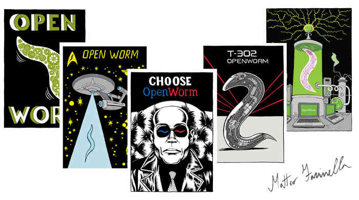 openwormt