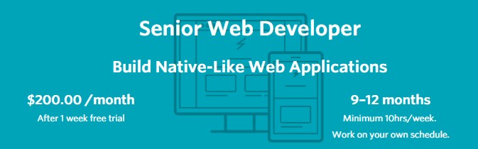 seniorwebdevnandegbanner