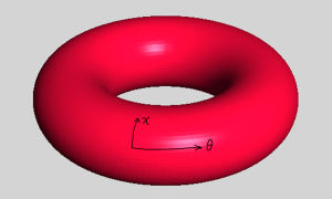 torus