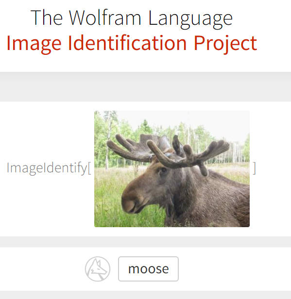 wolfimage