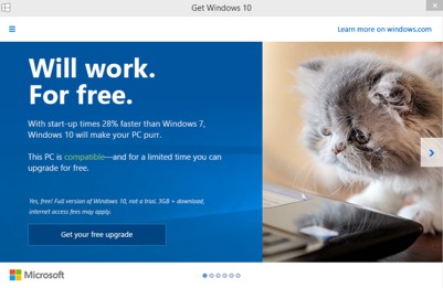 win10kitten