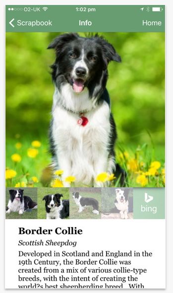 Dog clearance breed app