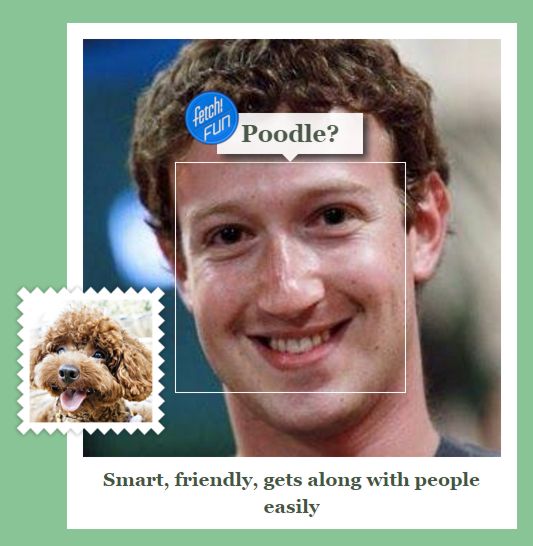 whatdogzuckebrerg