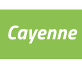 cayenneIcon