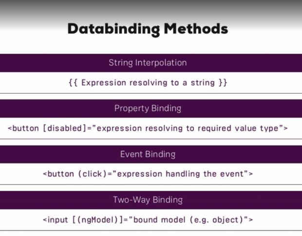 udemy angular2 databinding