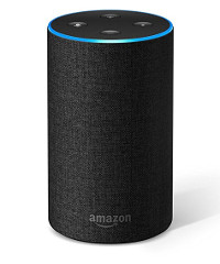 echo1