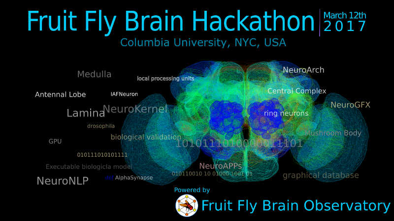 fruitflyhack