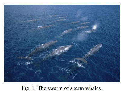 whales