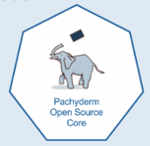 pachylogo