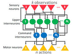 neural12