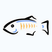 glassfish