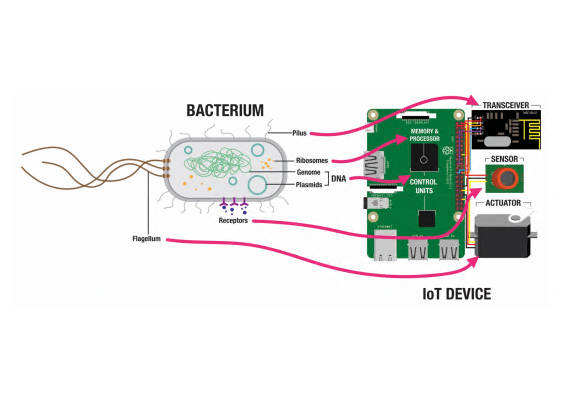 bioticon