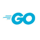 Go 1.24 Adds Generic Type Alias Support Go 1.24 Adds Generic Type Alias Support