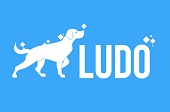 ludologo