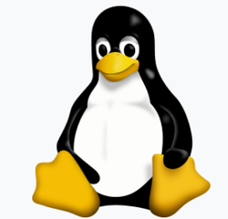 linux.png