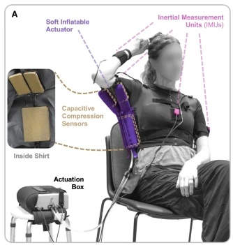 wearable robot