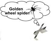 goldenwheel